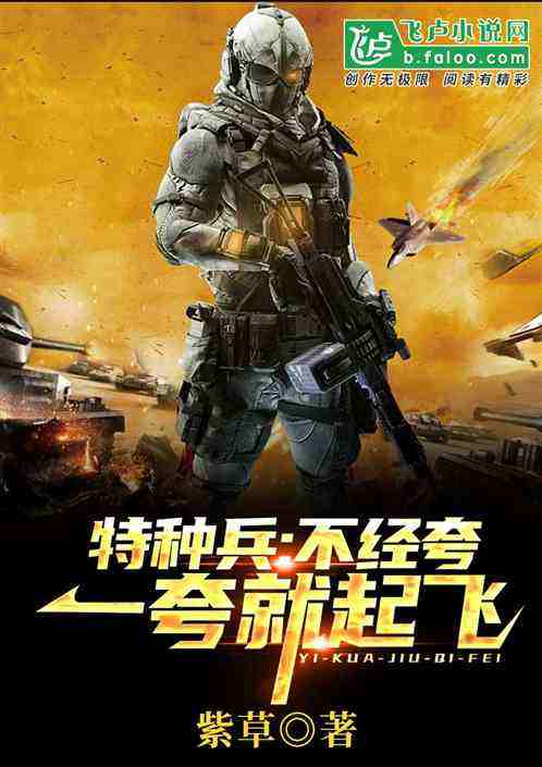 黑客之神级入侵之特种兵(特种兵之神级黑客系统 小说)