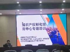知识产权(知识产权代理公司是干什么的)