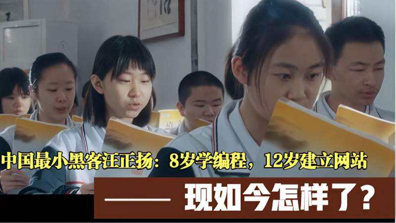 12岁的黑客汪正扬(汪正扬中国最小黑客现状)