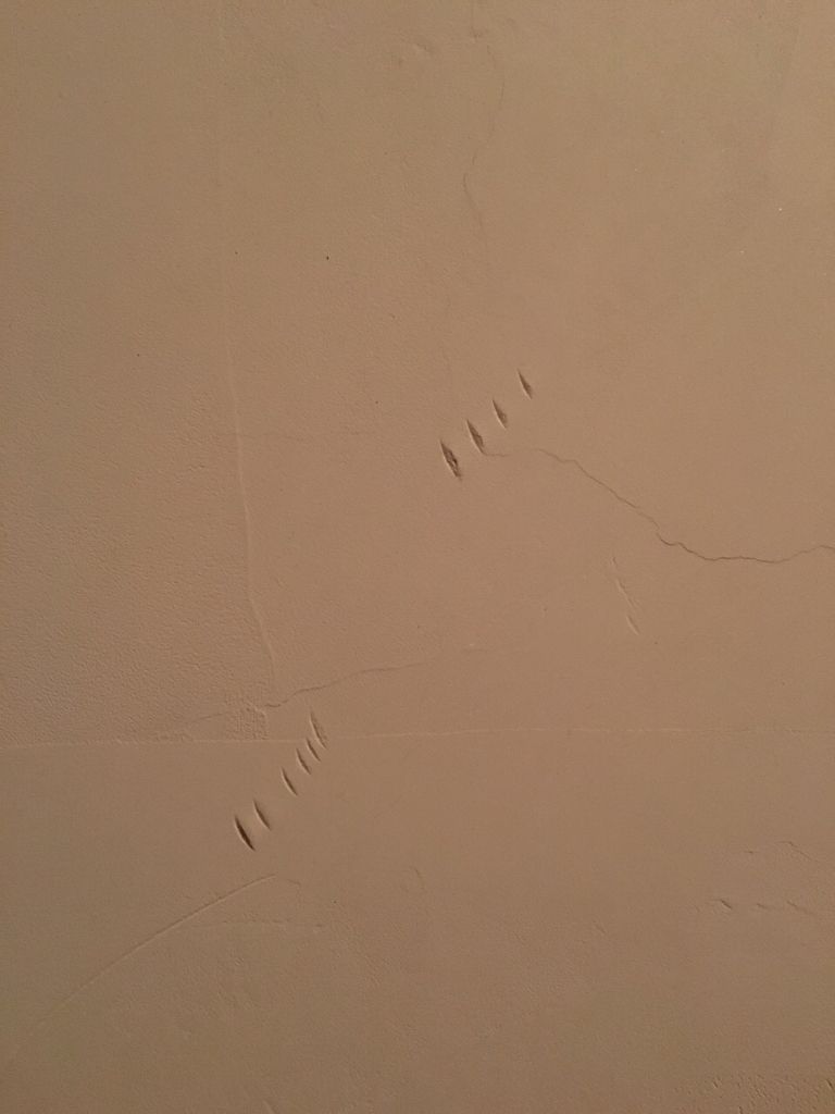家门口的墙上被刻了标记的简单介绍