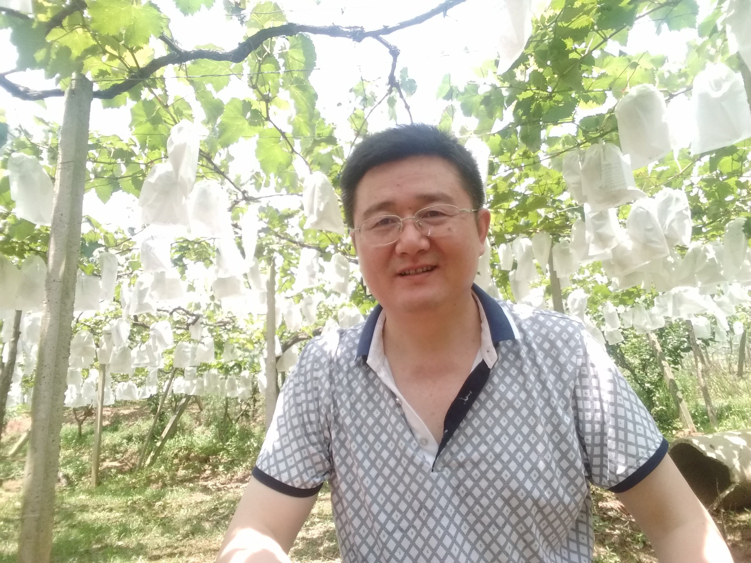 姚玉华个人信息(姚玉娟的个人资料)