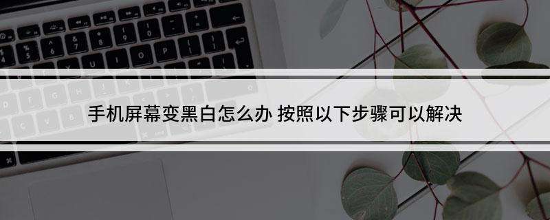 手机屏幕变黑白了怎么还原彩色(安卓手机屏幕变黑白了怎么还原彩色)