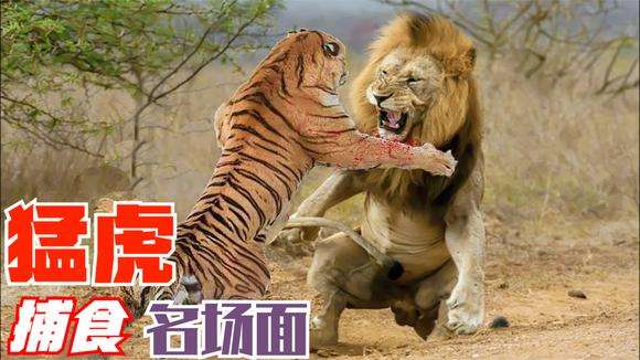 场面太震撼了(场面太震撼了怎么办)