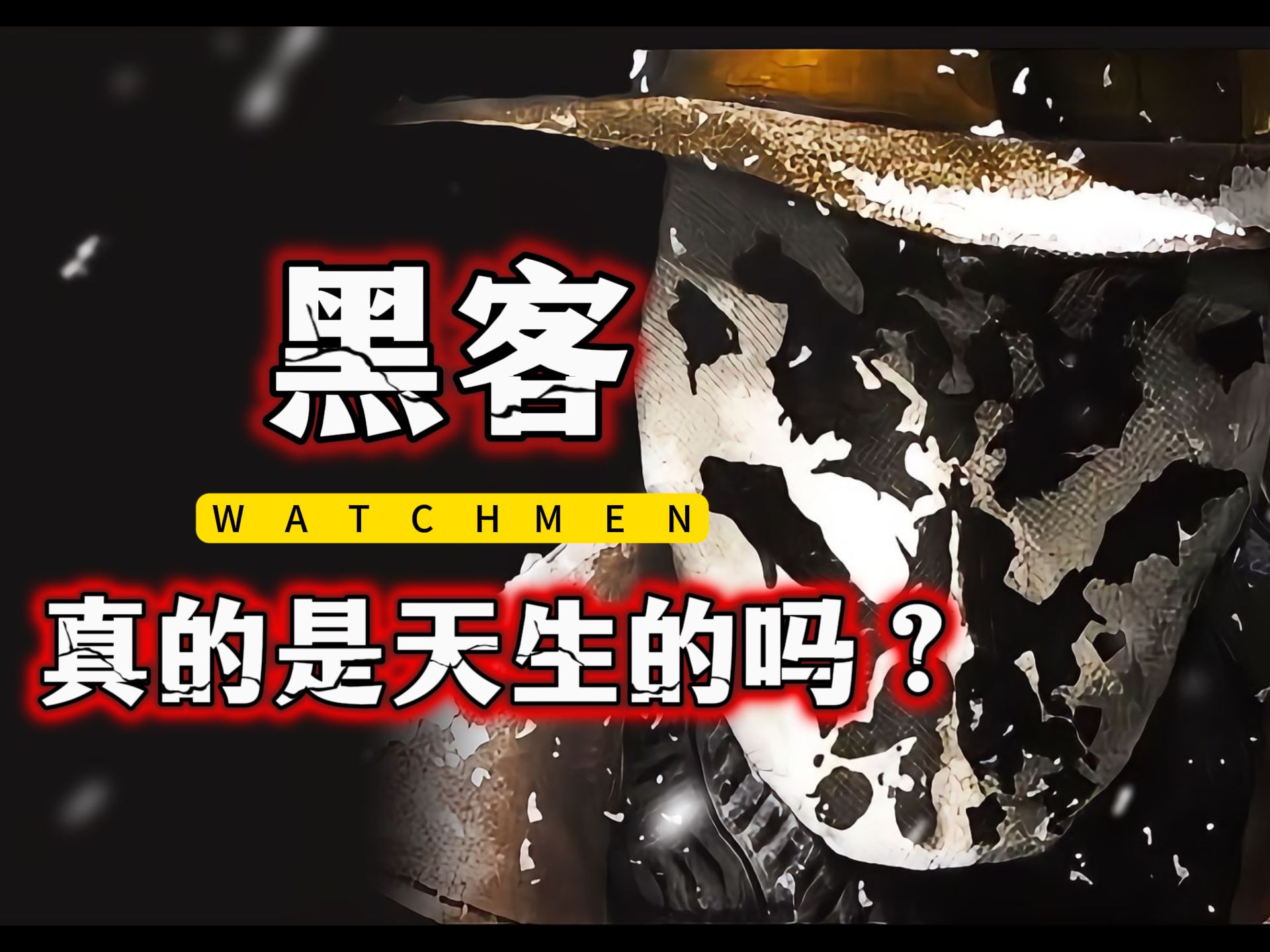 绍兴电脑天才黑客联系(小天才黑客纳尔)